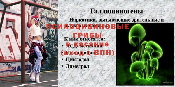 ГАЛЛЮЦИНОГЕННЫЕ ГРИБЫ Михайловск