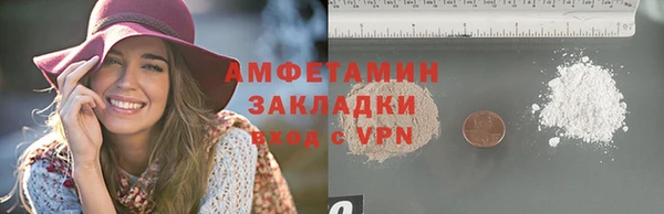 мдпв Михайлов