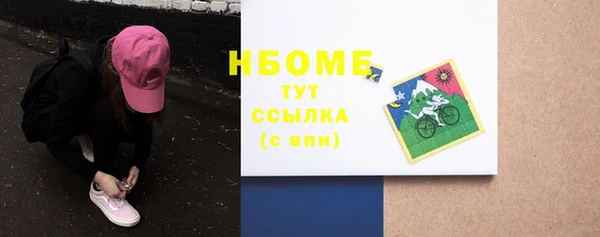 мдпв Михайлов